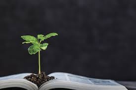 O que é Educação Ambiental? — Site do Programa de Gestão Ambiental da PGR