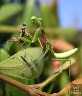 Foto de..::: Ettan Ettan