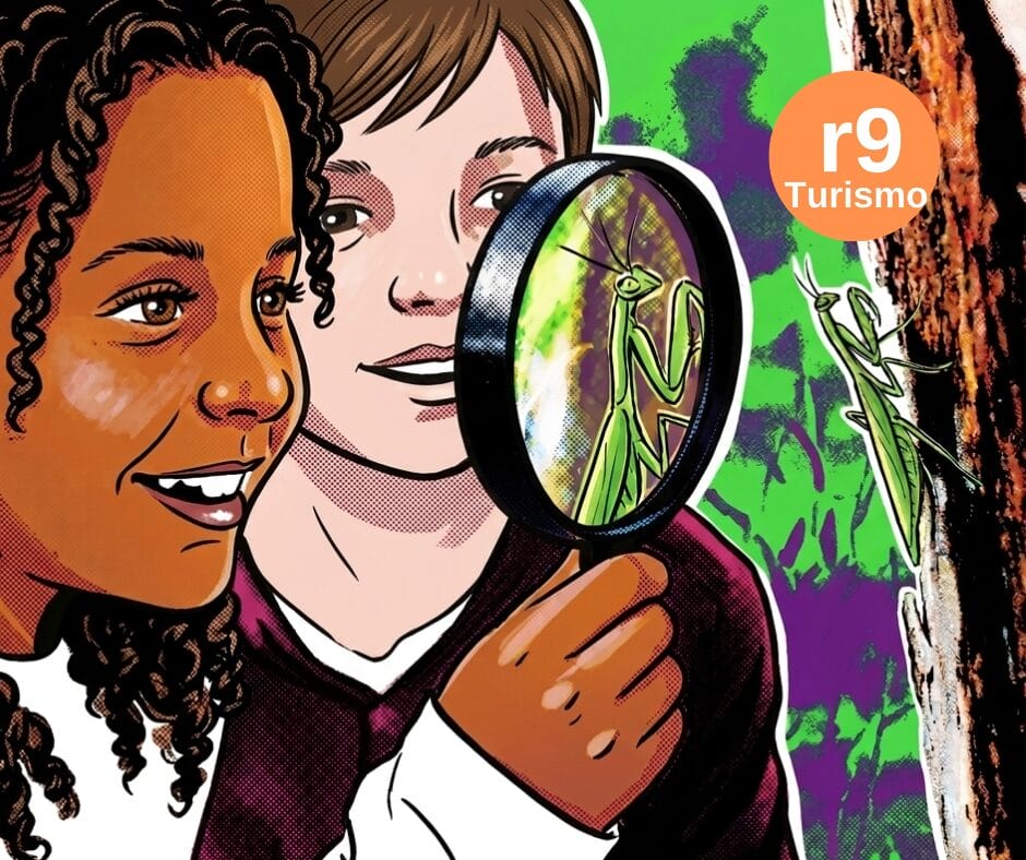 Oficinas e Projetos Educacionais