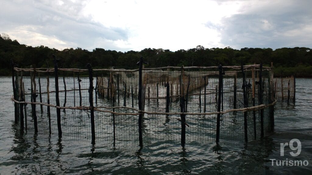 Cultura Tradicional Caiçara: CERCO CAIÇARA